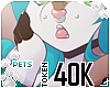 [Pets] 40k support