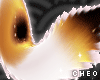 𝓒.NEKO WHITE tail 5