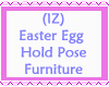 Easter Egg Hold Pose