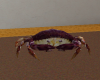 Crab Chair