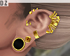 !D! # Gold Plug+Earrings