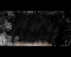 Acky Black