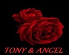 Tony & Angel Rug