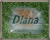 Diana`s  Beach Blonde