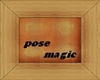/ /  Pose Magic //