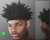 JASON FREEFORM