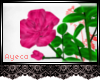 [AYZ]Pink Rose Bushes