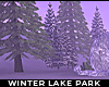 ! winter lake park