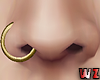 wz Nose Piercing Gold