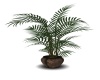 {LS} TreeHouse Plant