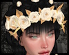 +Golden Summer Crown
