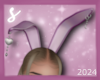 𝓼* bunny ears pink