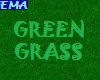 [E] Green Grass
