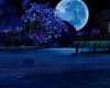 Moonlight Valley
