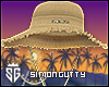 SG.H.Coachella 6 Collab