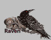 Ravens Peace
