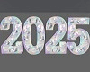*2025 Holo Year Blocks*