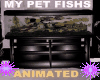 MY PET FISHS