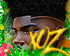 xOz Quincy Fade '25