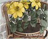 H. Potter Flowers Yellow