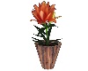 ~Potted Tigerlily~