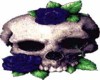 rose skull