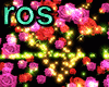 DJ Roses,Stars Effect