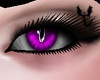 Purple Dragon Eyes
