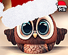 🎅 Xmas Owl Head