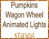 Pumpkins Decor Animated