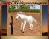 Anns white horse