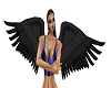 black angel wings