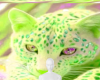 Lime cat background