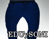 !ED.. Edgar Blue pants
