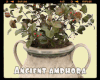 *Ancient Amphora
