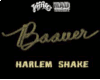 Harlem Shake Dubstep