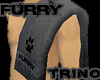 .[Trino]. Furry Black T