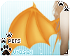 [Pets] Kimi | wings v3