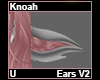 Knoah Ears V2