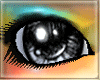 CP| Anime Blackberry Eye