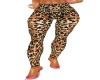 Leopard lacey leggings