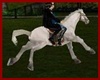 ¡¡ WHITE HORSE