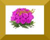 Roses - Fuschia