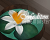 Lotus Floating Blow