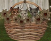 Autumn Kitten Basket