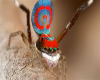 Spider ears