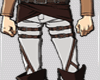 Z Levi Bottom + Both