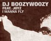 DJ Boozywoozy - I wanna
