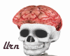 Humans Real Brain inside