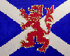 {AGOW} Saltire-Lion